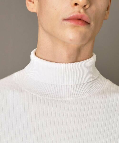 DRESSTERIOR / ドレステリア ニット・セーター | ワイドリブ タートルネックニット | 詳細8