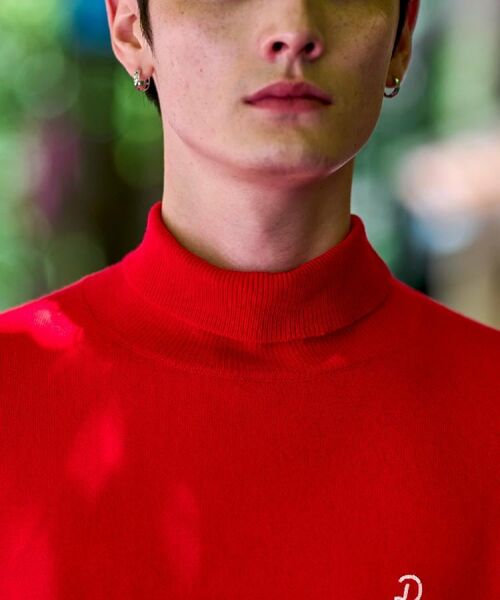 DRESSTERIOR / ドレステリア ニット・セーター | サスティナブル タートルニット | 詳細13