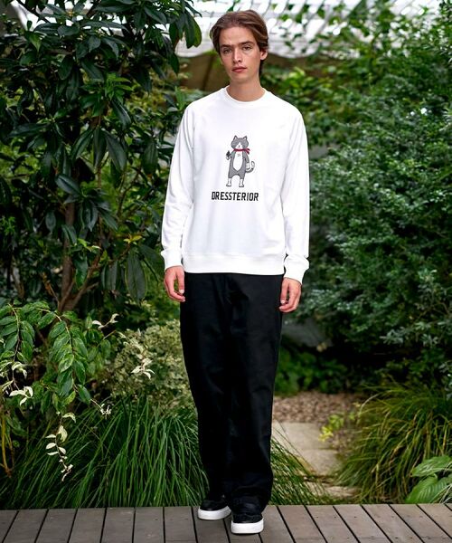 DRESSTERIOR / ドレステリア スウェット | 【大阪ルクア＆EC限定】キャット裏毛スウェット | 詳細1