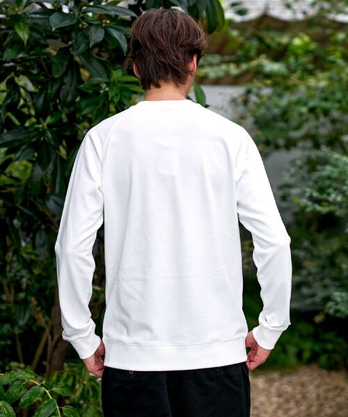 DRESSTERIOR / ドレステリア スウェット | 【大阪ルクア＆EC限定】キャット裏毛スウェット | 詳細5