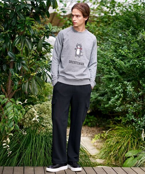 DRESSTERIOR / ドレステリア スウェット | 【大阪ルクア＆EC限定】キャット裏毛スウェット | 詳細9