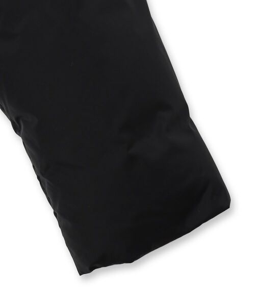 DRESSTERIOR / ドレステリア ダウンジャケット・ベスト | 【700フィルパワー/高品質ダウン】ファンクショナル ハイネックダウン | 詳細20