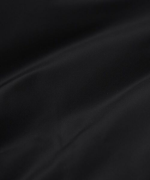 DRESSTERIOR / ドレステリア ダウンジャケット・ベスト | 【700フィルパワー/高品質ダウン】ファンクショナル ハイネックダウン | 詳細25