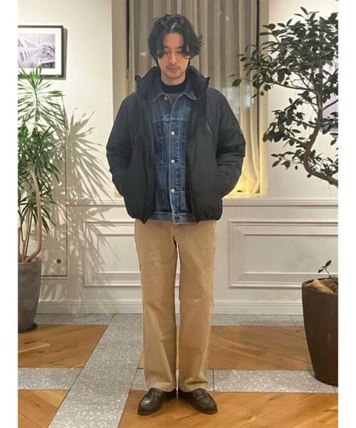 DRESSTERIOR / ドレステリア ダウンジャケット・ベスト | 【700フィルパワー/高品質ダウン】ファンクショナル ハイネックダウン | 詳細26