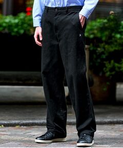 DRESSTERIOR / ドレステリア パンツ | ヴィンテージ アルティメットチノパンツ