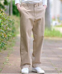 DRESSTERIOR / ドレステリア パンツ | ヴィンテージ アルティメットチノパンツ