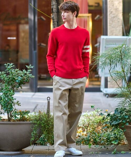 DRESSTERIOR / ドレステリア パンツ | ヴィンテージ アルティメットチノパンツ | 詳細1