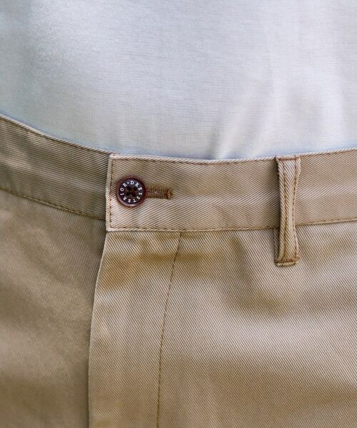 DRESSTERIOR / ドレステリア パンツ | ヴィンテージ アルティメットチノパンツ | 詳細12