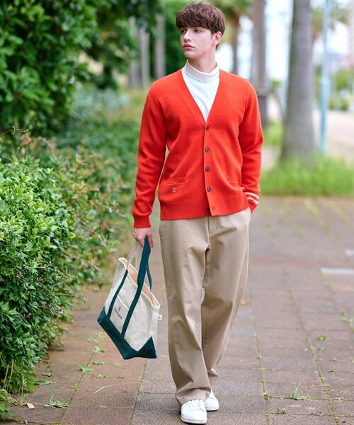 DRESSTERIOR / ドレステリア パンツ | ヴィンテージ アルティメットチノパンツ | 詳細3