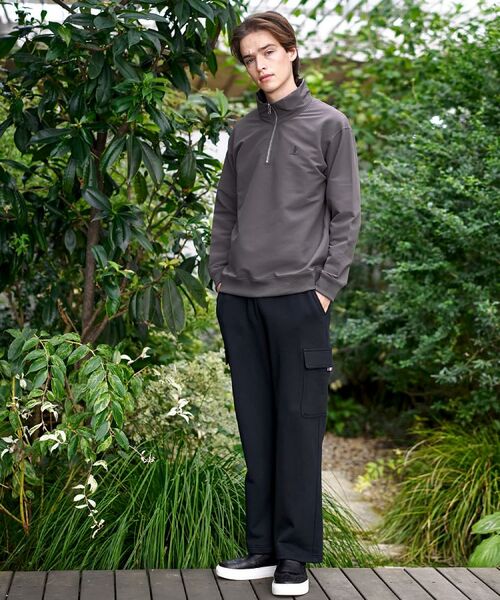 DRESSTERIOR / ドレステリア カットソー | ダブルクロス裏起毛 ハーフジッププルオーバー | 詳細1