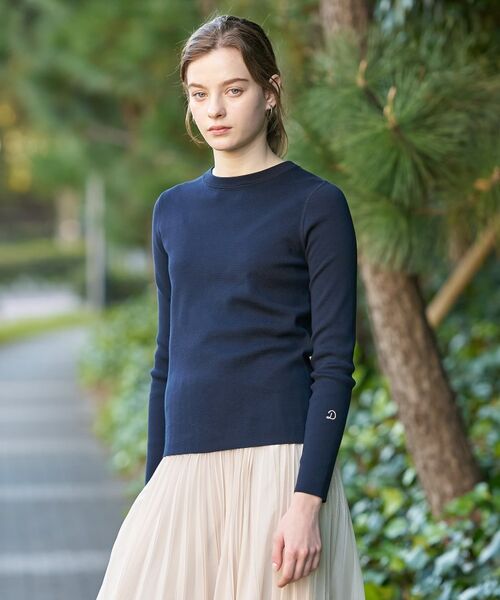 DRESSTERIOR / ドレステリア ニット・セーター | コットンフルニードルニット(ネイビー(094))