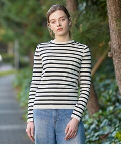 DRESSTERIOR / ドレステリア ニット・セーター | コットンフルニードルボーダー