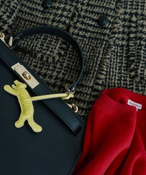 DRESSTERIOR / ドレステリア キーホルダー・ストラップ | ドレステリアタイガーレザーチャーム | 詳細1