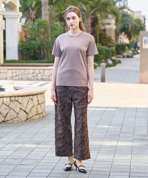 DRESSTERIOR / ドレステリア Tシャツ | アイスクリアコットンTシャツ | 詳細1