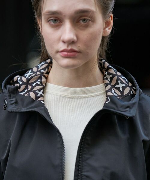 DRESSTERIOR / ドレステリア レザーブルゾン・ジャケット | レインマウンテンパーカー | 詳細19