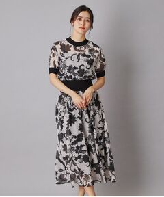 DRESSTERIOR / ドレステリア ロング・マキシ丈ワンピース | シアーフラワープリントワンピース