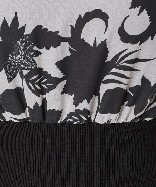 DRESSTERIOR / ドレステリア ロング・マキシ丈ワンピース | シアーフラワープリントワンピース | 詳細11