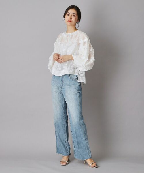 DRESSTERIOR / ドレステリア シャツ・ブラウス | シアーエンブロイダリーブラウス | 詳細18
