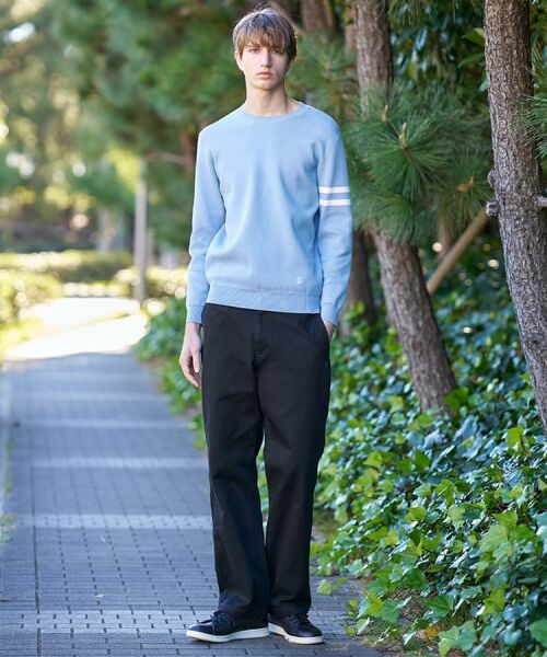 DRESSTERIOR / ドレステリア ニット・セーター | コットンスムース アームラインクルーネック | 詳細21