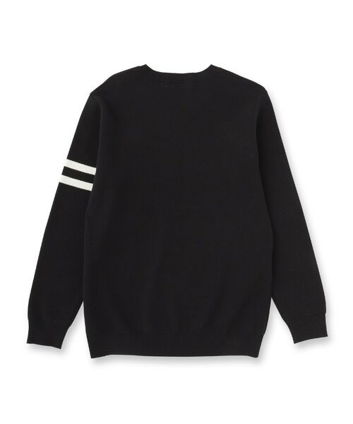 DRESSTERIOR / ドレステリア ニット・セーター | コットンスムース アームラインクルーネック | 詳細30