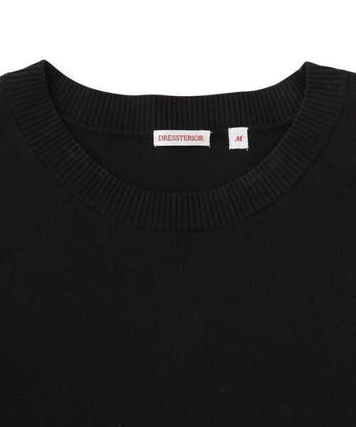 DRESSTERIOR / ドレステリア ニット・セーター | コットンスムース アームラインクルーネック | 詳細6