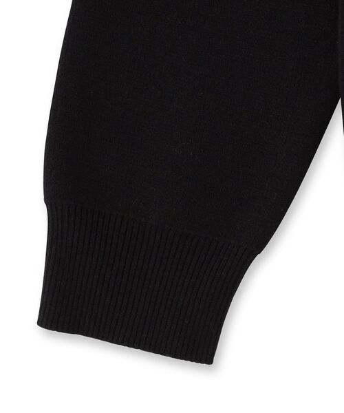 DRESSTERIOR / ドレステリア ニット・セーター | コットンスムース アームラインクルーネック | 詳細8