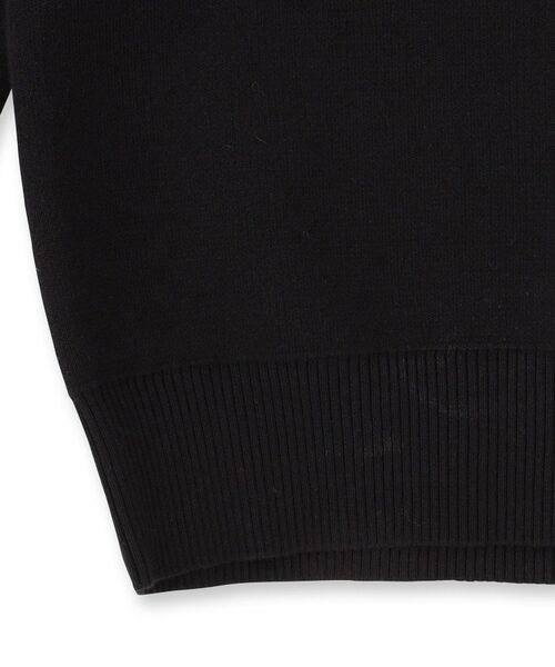 DRESSTERIOR / ドレステリア ニット・セーター | コットンスムース アームラインクルーネック | 詳細9