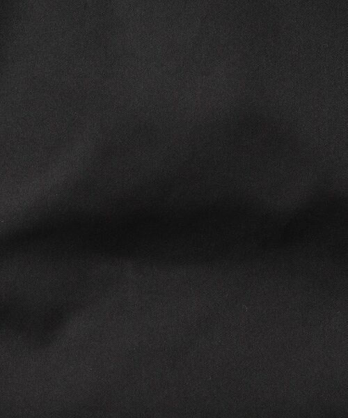 DRESSTERIOR / ドレステリア レザーブルゾン・ジャケット | LIMONTA ハイスペックパーカー | 詳細13