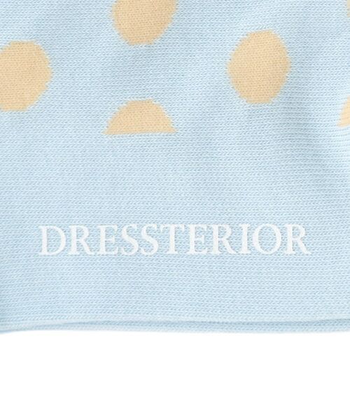 DRESSTERIOR / ドレステリア ソックス | ポルカドット柄ソックス | 詳細3