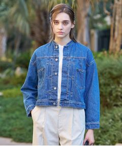 DRESSTERIOR / ドレステリア Gジャン・デニムジャケット | ヴィンテージバンドカラーGジャン