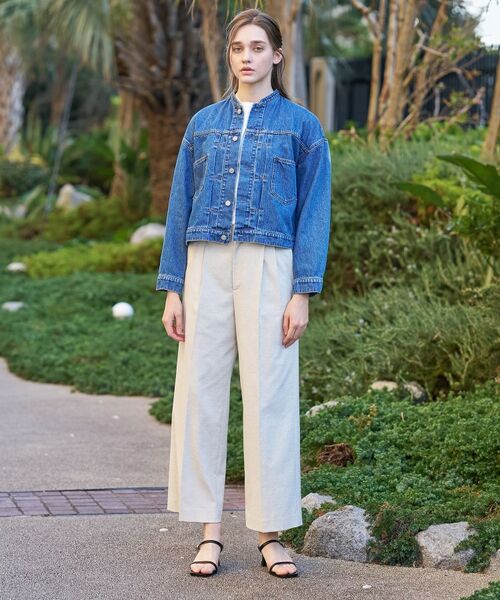 DRESSTERIOR / ドレステリア Gジャン・デニムジャケット | ヴィンテージバンドカラーGジャン | 詳細1