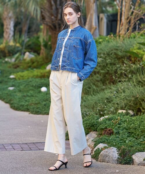 DRESSTERIOR / ドレステリア Gジャン・デニムジャケット | ヴィンテージバンドカラーGジャン | 詳細2