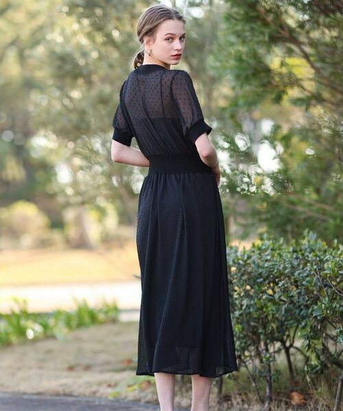 DRESSTERIOR / ドレステリア ロング・マキシ丈ワンピース | ドットカットジャカードハーフスリーブ | 詳細5