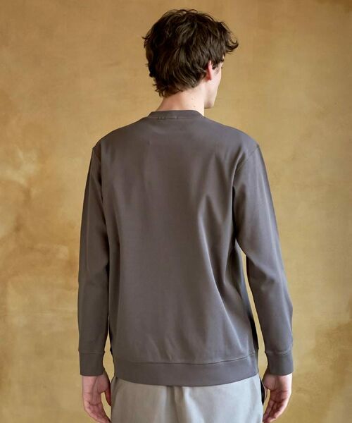 DRESSTERIOR / ドレステリア Tシャツ | 【抗菌防臭／UVカット／しわ防止】クールデオドラント フライスロングTシャツ | 詳細26