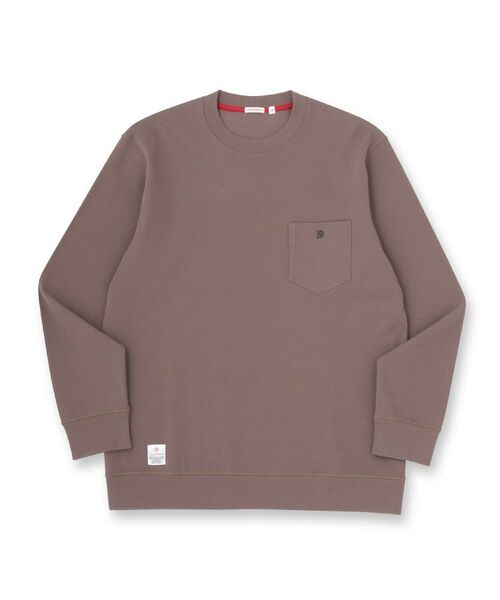 DRESSTERIOR / ドレステリア Tシャツ | 【抗菌防臭／UVカット／しわ防止】クールデオドラント フライスロングTシャツ（トープ(054)）