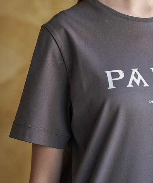 DRESSTERIOR / ドレステリア Tシャツ | アイスクリアコットン PARIS Tシャツ | 詳細15
