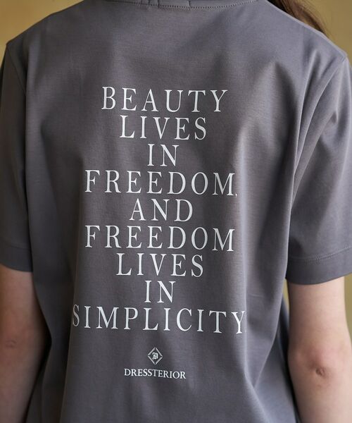 DRESSTERIOR / ドレステリア Tシャツ | アイスクリアコットン PARIS Tシャツ | 詳細16