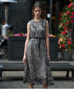 DRESSTERIOR / ドレステリア ミニ丈・ひざ丈ワンピース | シアーコードレース ドレス