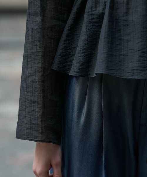 DRESSTERIOR / ドレステリア シャツ・ブラウス | シアーカーディガンブラウス | 詳細10