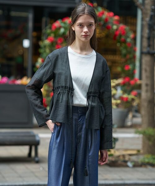 DRESSTERIOR / ドレステリア シャツ・ブラウス | シアーカーディガンブラウス | 詳細13