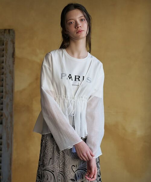 DRESSTERIOR / ドレステリア シャツ・ブラウス | シアーカーディガンブラウス | 詳細17