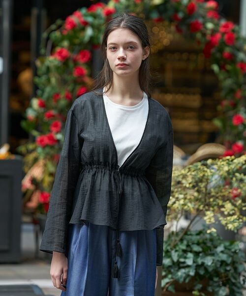 DRESSTERIOR / ドレステリア シャツ・ブラウス | シアーカーディガンブラウス | 詳細5