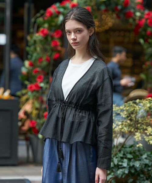 DRESSTERIOR / ドレステリア シャツ・ブラウス | シアーカーディガンブラウス（ブラック(019)）