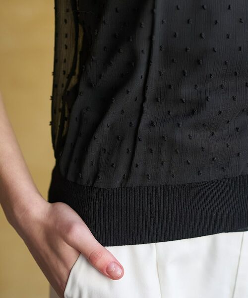 DRESSTERIOR / ドレステリア シャツ・ブラウス | ドットジャカード プルオーバー | 詳細15