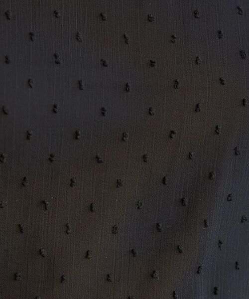 DRESSTERIOR / ドレステリア シャツ・ブラウス | ドットジャカード プルオーバー | 詳細16