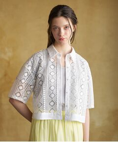 DRESSTERIOR / ドレステリア シャツ・ブラウス | ウォッシャブルレース クロップドシャツ