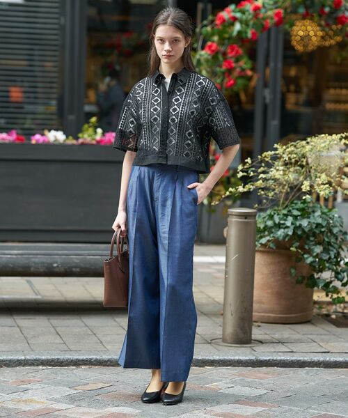 DRESSTERIOR / ドレステリア シャツ・ブラウス | ウォッシャブルレース クロップドシャツ | 詳細2