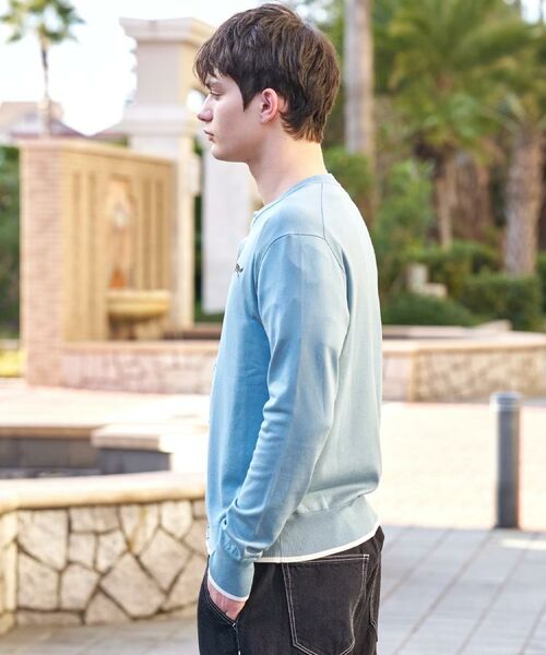 DRESSTERIOR / ドレステリア カーディガン・ボレロ | 【ウォッシャブル】ウールレーヨン ラウンドネックカーディガン | 詳細13