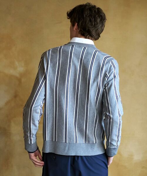 DRESSTERIOR / ドレステリア カーディガン・ボレロ | 【ウォッシャブル】ウールレーヨン ストライプラウンドネックカーディガン | 詳細16