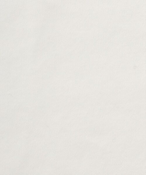 DRESSTERIOR / ドレステリア Tシャツ | 【接触冷感/抗菌防臭/消臭】ICE CLEAR COTTON ポケットTシャツ | 詳細13